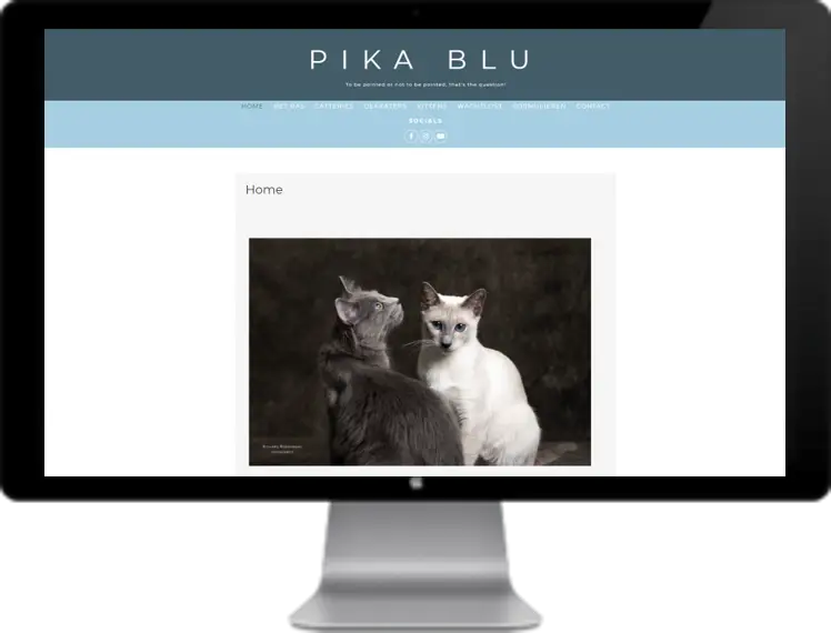 Website voorbeelden 15