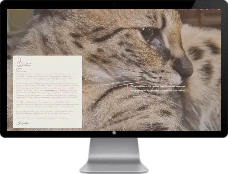 Website voorbeelden 16