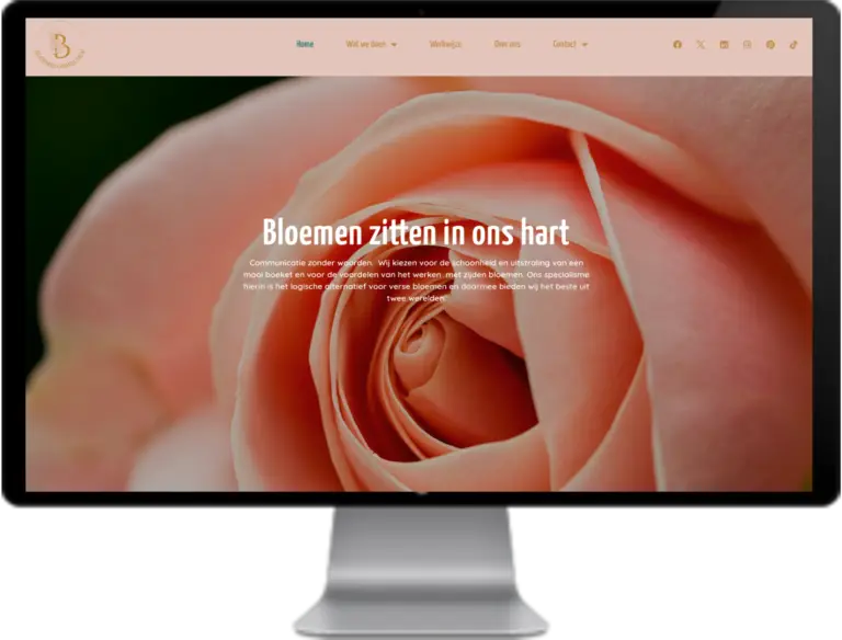 Website voorbeelden 26